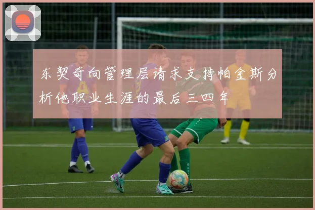 东契奇向管理层请求支持帕金斯分析他职业生涯的最后三四年